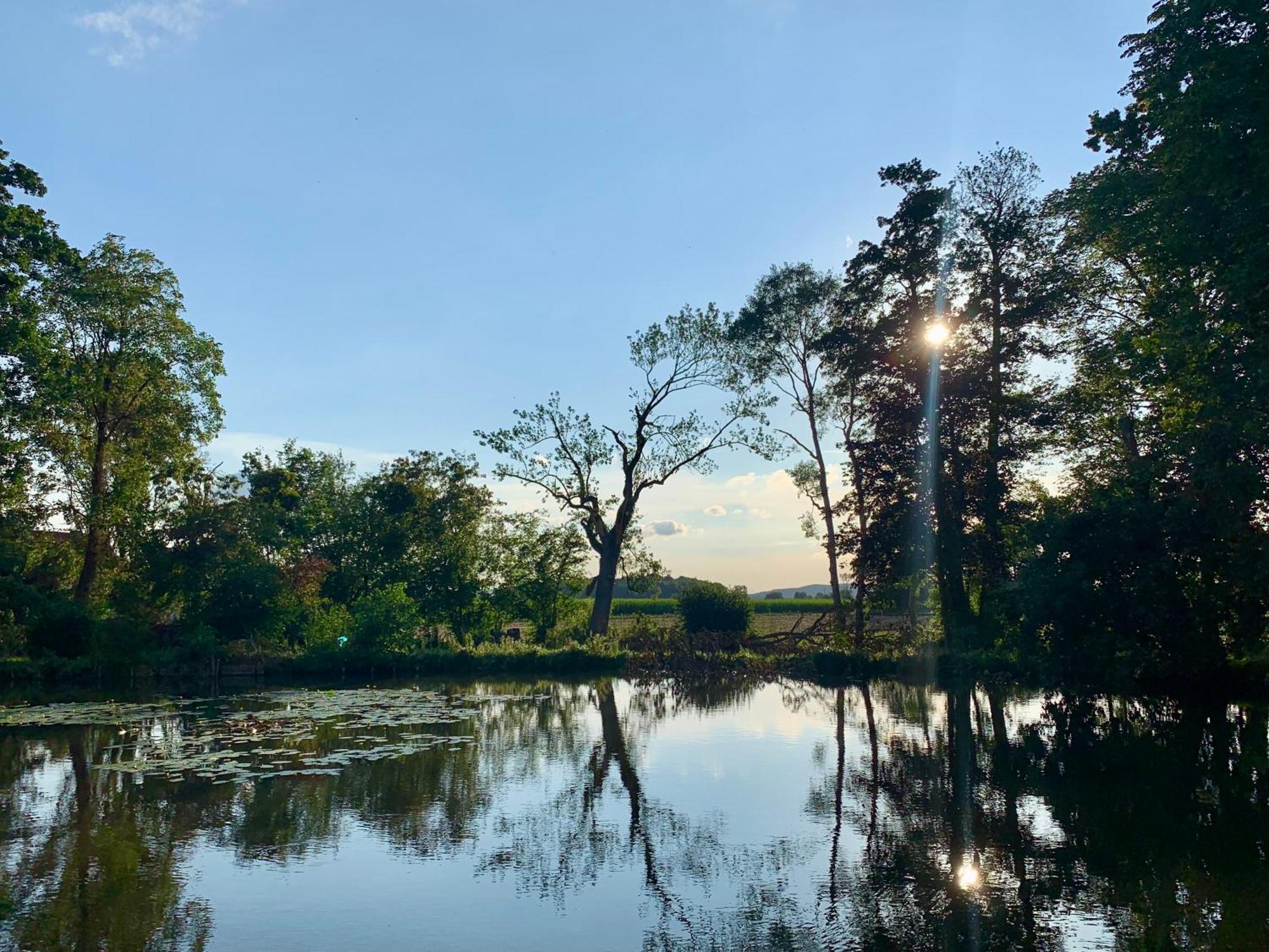 Wohnen Im Wasserschloss Sandizell Schrobenhausen Esterno foto